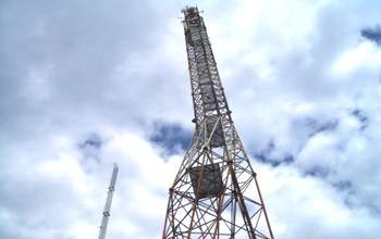 giraffenmast
